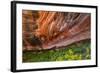 Arizona. Hanging Garden in Canyon X-Jaynes Gallery-Framed Photographic Print