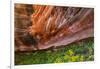 Arizona. Hanging Garden in Canyon X-Jaynes Gallery-Framed Photographic Print