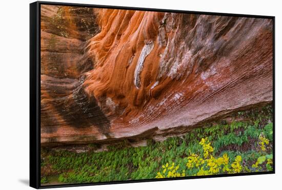 Arizona. Hanging Garden in Canyon X-Jaynes Gallery-Framed Stretched Canvas