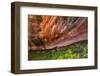 Arizona. Hanging Garden in Canyon X-Jaynes Gallery-Framed Photographic Print