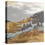 Arizona Hills-Patricia Pinto-Stretched Canvas