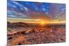 Arizona, Lake Havasu City. Sunset on Desert-Jaynes Gallery-Mounted Photographic Print