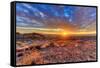 Arizona, Lake Havasu City. Sunset on Desert-Jaynes Gallery-Framed Stretched Canvas