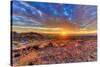 Arizona, Lake Havasu City. Sunset on Desert-Jaynes Gallery-Stretched Canvas