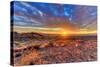 Arizona, Lake Havasu City. Sunset on Desert-Jaynes Gallery-Stretched Canvas