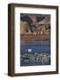 Arizona, Lake Powell and Houseboats at Wahweap Marina, Wahweap-David Wall-Framed Photographic Print