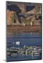 Arizona, Lake Powell and Houseboats at Wahweap Marina, Wahweap-David Wall-Mounted Photographic Print