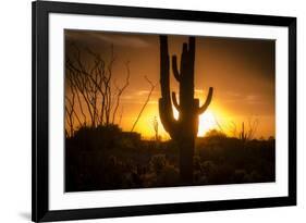 Arizona Landscape, Sunset Saguaro in Silhouette over Desert.-BCFC-Framed Photographic Print