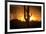 Arizona Landscape, Sunset Saguaro in Silhouette over Desert.-BCFC-Framed Photographic Print