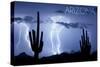 Arizona - Lightning Storm and Cactus-Lantern Press-Stretched Canvas