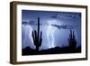 Arizona - Lightning Storm and Cactus-Lantern Press-Framed Art Print
