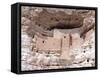 Arizona Montezuma Castle, 2014-Peter McClure-Framed Stretched Canvas