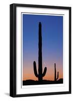 Arizona Moon & Cactus-Donald Paulson-Framed Giclee Print