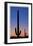 Arizona Moon & Cactus-Donald Paulson-Framed Giclee Print