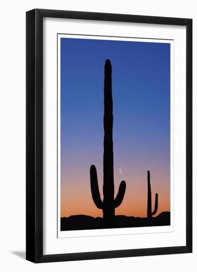 Arizona Moon & Cactus-Donald Paulson-Framed Giclee Print