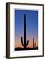 Arizona Moon & Cactus-Donald Paulson-Framed Giclee Print