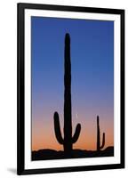 Arizona Moon & Cactus-Donald Paulson-Framed Giclee Print