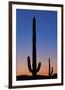 Arizona Moon & Cactus-Donald Paulson-Framed Giclee Print