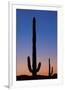 Arizona Moon & Cactus-Donald Paulson-Framed Giclee Print