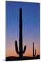 Arizona Moon & Cactus-Donald Paulson-Mounted Giclee Print