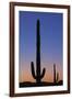 Arizona Moon & Cactus-Donald Paulson-Framed Giclee Print