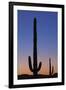 Arizona Moon & Cactus-Donald Paulson-Framed Giclee Print