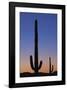 Arizona Moon & Cactus-Donald Paulson-Framed Giclee Print