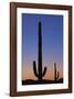 Arizona Moon & Cactus-Donald Paulson-Framed Giclee Print