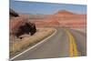 Arizona, Navajo County, Red Rock-Jamie & Judy Wild-Mounted Premium Photographic Print