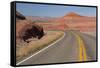 Arizona, Navajo County, Red Rock-Jamie & Judy Wild-Framed Stretched Canvas