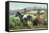 Arizona - Navajo Men on Horseback-Lantern Press-Framed Stretched Canvas