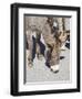 Arizona, Oatman, Route 66, old gold mining town, Wild Burros-Jamie & Judy Wild-Framed Photographic Print