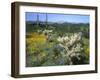 Arizona, Organ Pipe Cactus National Monument-null-Framed Photographic Print