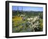 Arizona, Organ Pipe Cactus National Monument-null-Framed Photographic Print