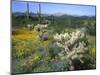 Arizona, Organ Pipe Cactus National Monument-null-Mounted Photographic Print