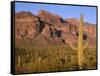 Arizona, Organ Pipe Cactus National Monument-John Barger-Framed Stretched Canvas