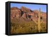 Arizona, Organ Pipe Cactus National Monument-John Barger-Framed Stretched Canvas