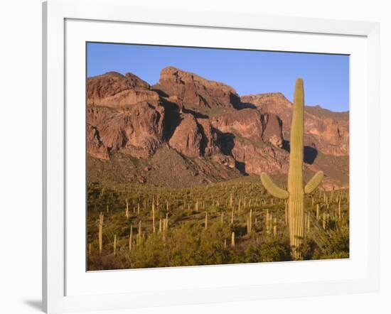 Arizona, Organ Pipe Cactus National Monument-John Barger-Framed Photographic Print