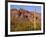 Arizona, Organ Pipe Cactus National Monument-John Barger-Framed Photographic Print