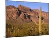 Arizona, Organ Pipe Cactus National Monument-John Barger-Mounted Photographic Print