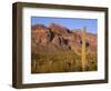 Arizona, Organ Pipe Cactus National Monument-John Barger-Framed Photographic Print