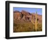 Arizona, Organ Pipe Cactus National Monument-John Barger-Framed Photographic Print