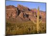 Arizona, Organ Pipe Cactus National Monument-John Barger-Mounted Photographic Print