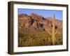 Arizona, Organ Pipe Cactus National Monument-John Barger-Framed Photographic Print