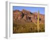 Arizona, Organ Pipe Cactus National Monument-John Barger-Framed Photographic Print