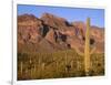 Arizona, Organ Pipe Cactus National Monument-John Barger-Framed Photographic Print