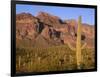 Arizona, Organ Pipe Cactus National Monument-John Barger-Framed Photographic Print