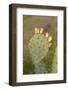 Arizona, Organ Pipe Cactus Nm. Engelmanns Prickly Pear Detail-Kevin Oke-Framed Photographic Print