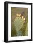 Arizona, Organ Pipe Cactus Nm. Engelmanns Prickly Pear Detail-Kevin Oke-Framed Photographic Print