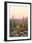 Arizona, Organ Pipe Cactus Nm. Saguaro Cactus and Chain Fruit Cholla-Kevin Oke-Framed Photographic Print